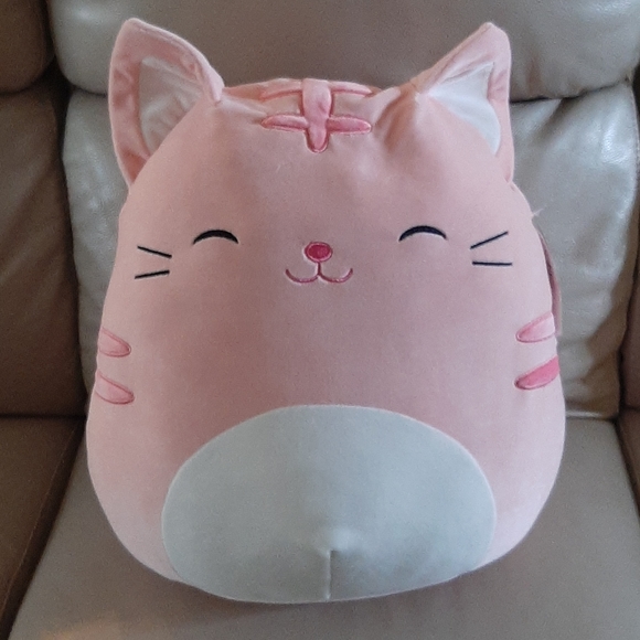 tabby cat squishmallow name